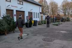 Christbaumverkauf-2025-5