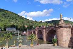 Schuetzenausflug-Aschaffenburg-und-Heidelberg-08
