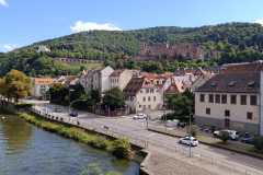 Schuetzenausflug-Aschaffenburg-und-Heidelberg-09