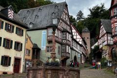 Schuetzenausflug-Aschaffenburg-und-Heidelberg-28