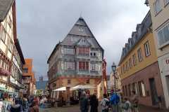 Schuetzenausflug-Aschaffenburg-und-Heidelberg-30