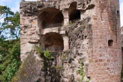 Schuetzenausflug-Aschaffenburg-und-Heidelberg-46