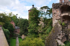 Schuetzenausflug-Aschaffenburg-und-Heidelberg-43